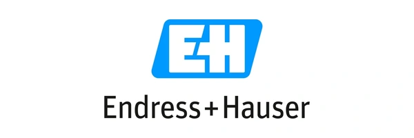 لوگوی Endress+Hauser